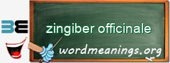 WordMeaning blackboard for zingiber officinale